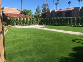 neat backyard artificial grass installation